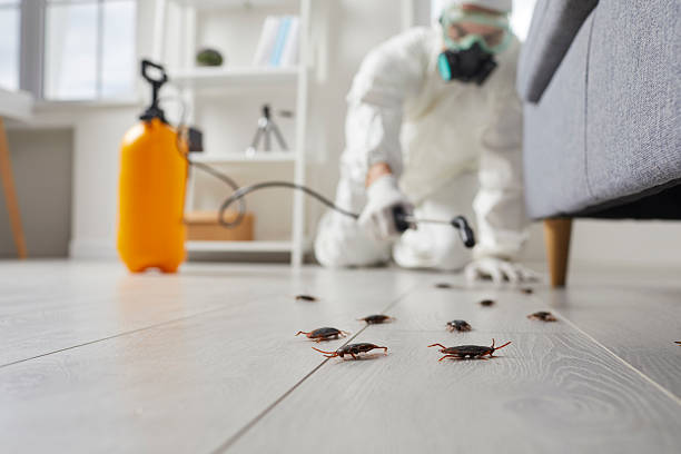 Commercial Kitchen Cockroach Control in Fostoria
